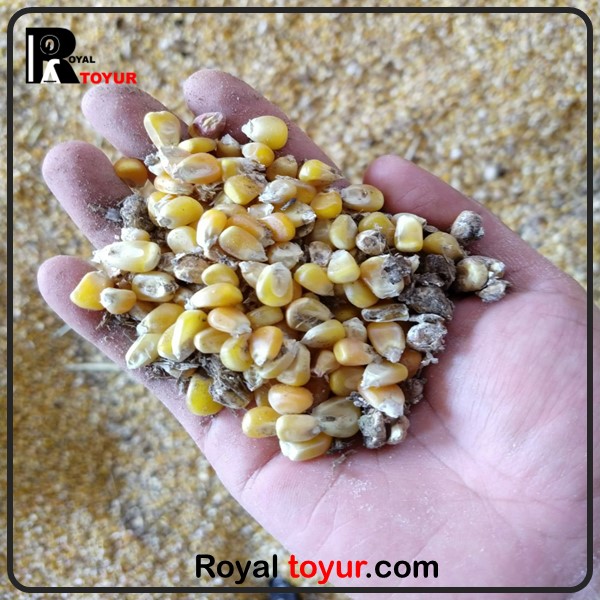 نحوه جلوگیری از خرابی دان طیور 